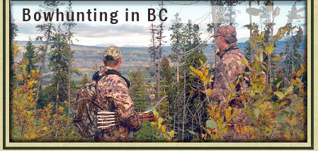 Guided Bowhunting for Moose, Bear and Cougar